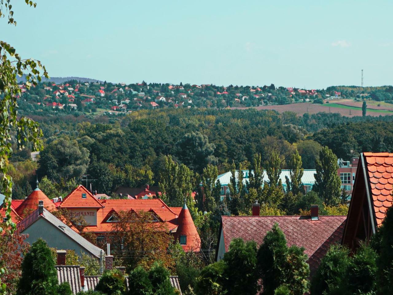 Tolena Heviz Apartments Экстерьер фото